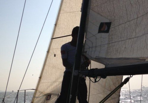 Oyster Sail (Learn Sailing) (2)