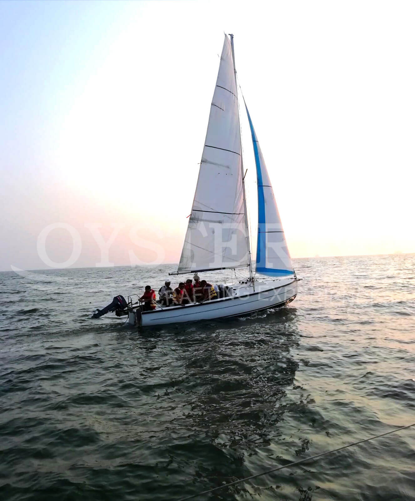 Sea Bird_Oyster Sailing (2)