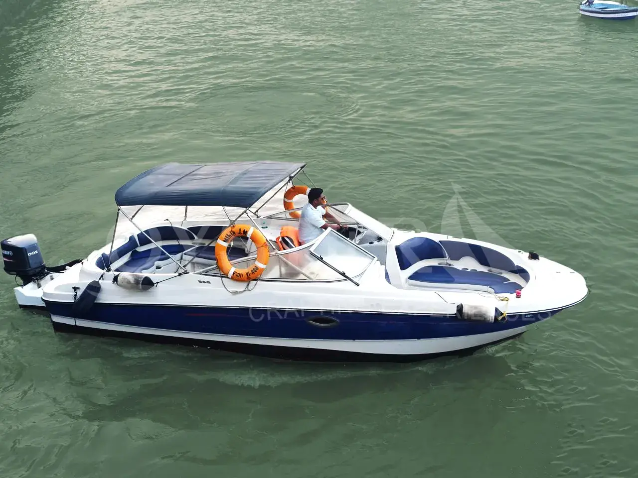 Bayliner 245