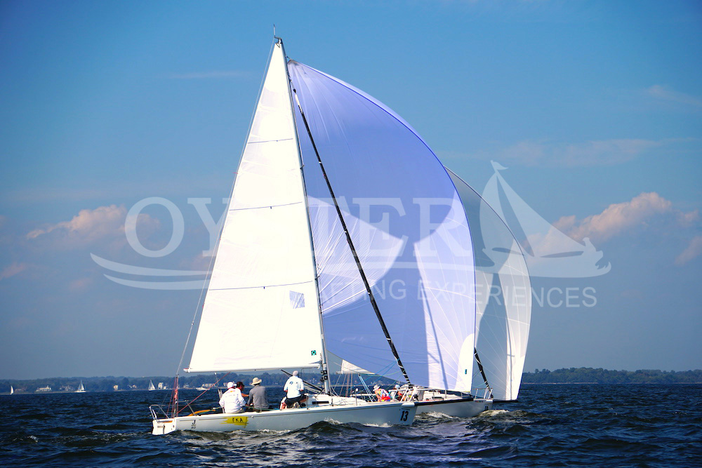 J 80_Oyster Sailing (4)