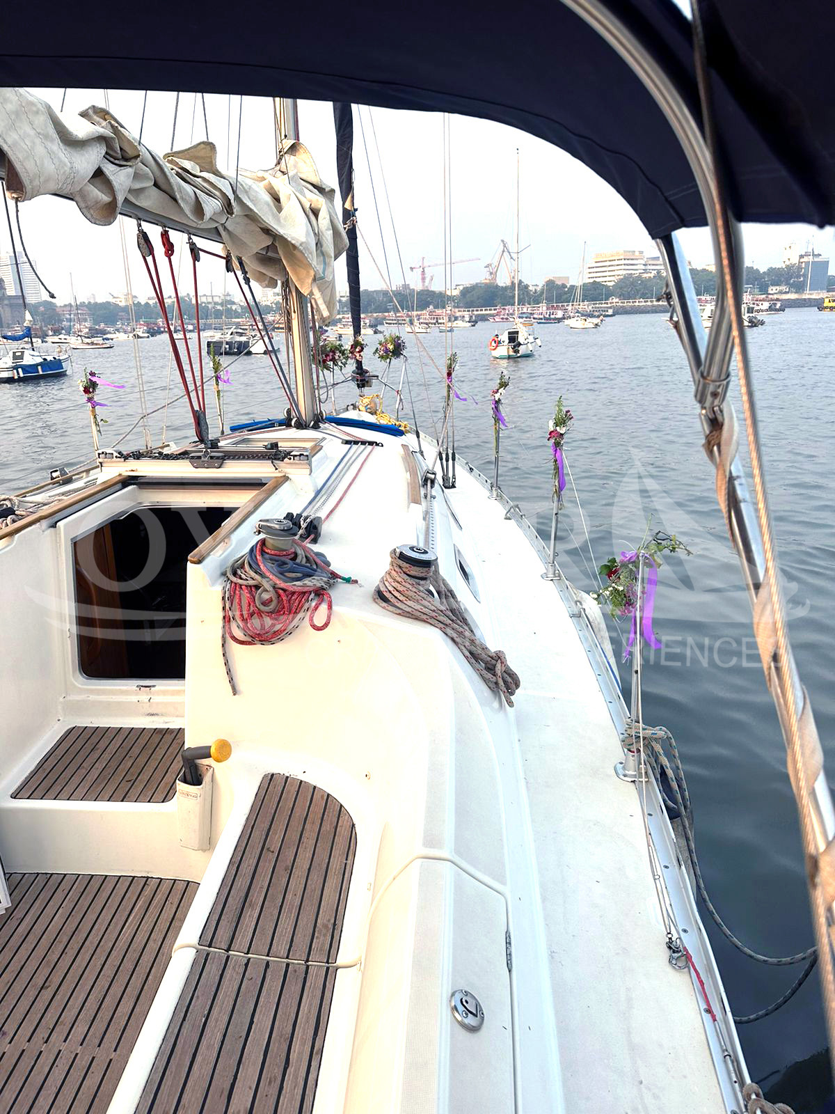 Jeanneau 34.2_Oyster Sailing (21)