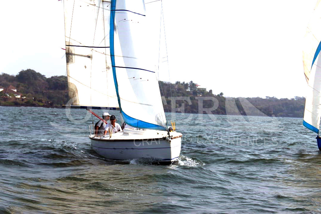 Sea Bird_Oyster Sailing (1)