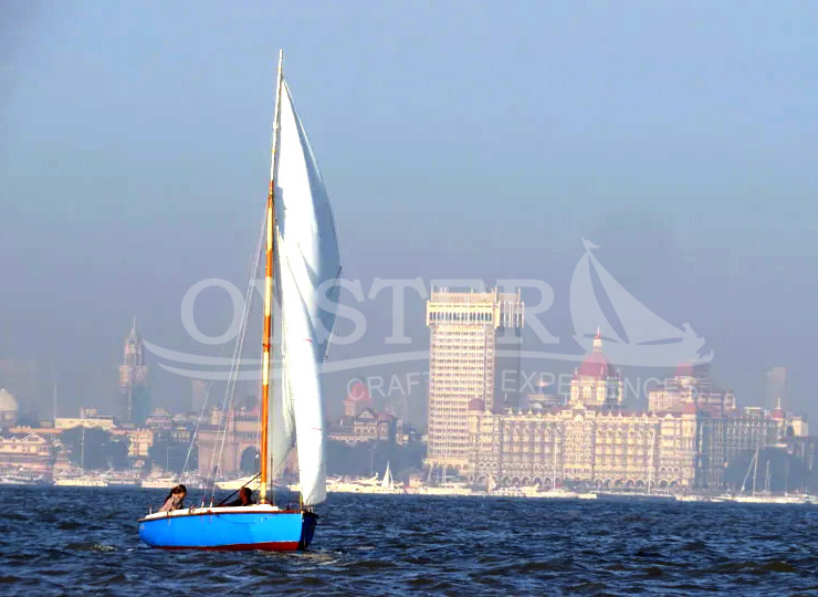 Sea Bird_Oyster Sailing (7)