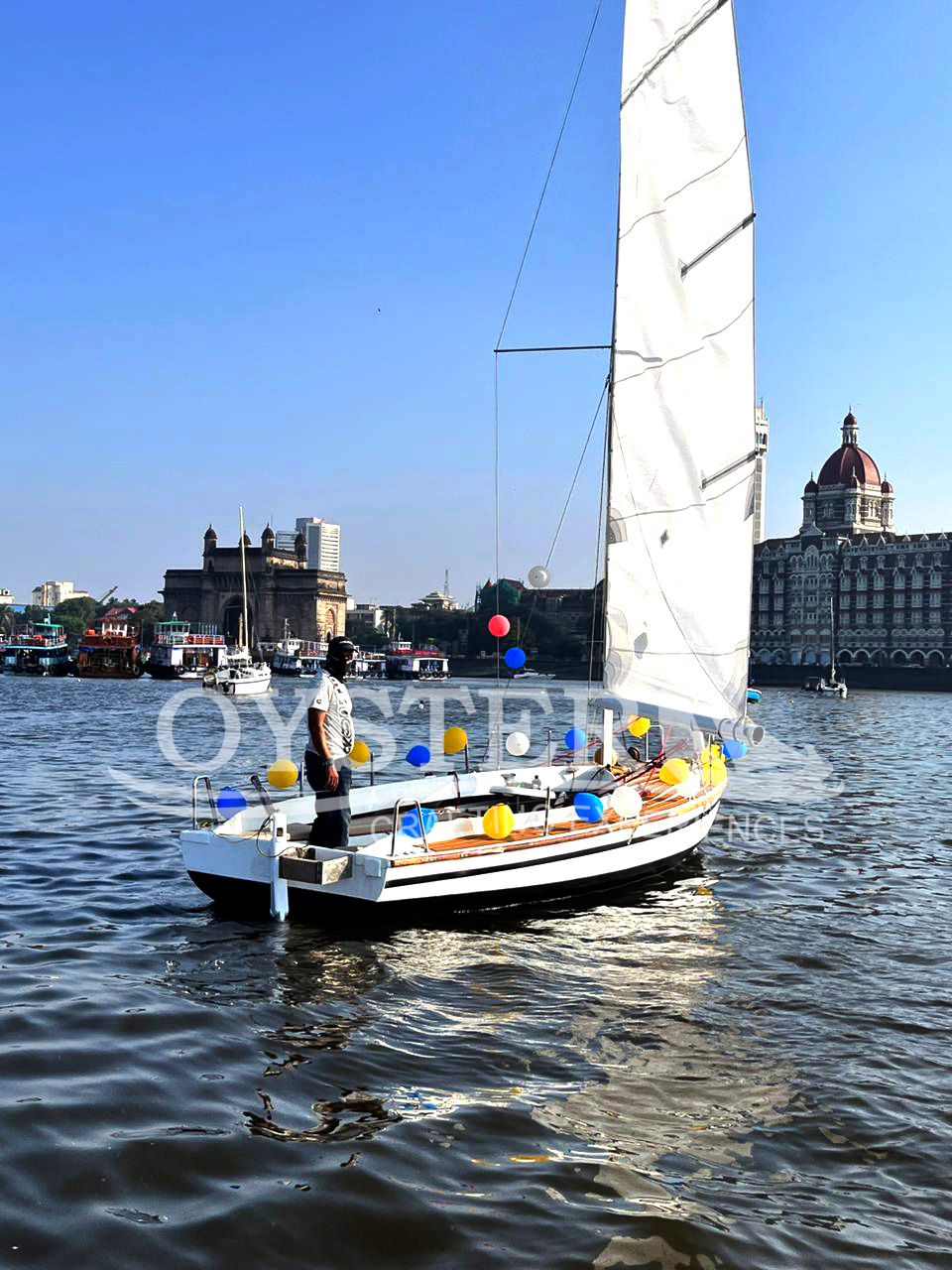 Sea Bird_Oyster Sailing (9)