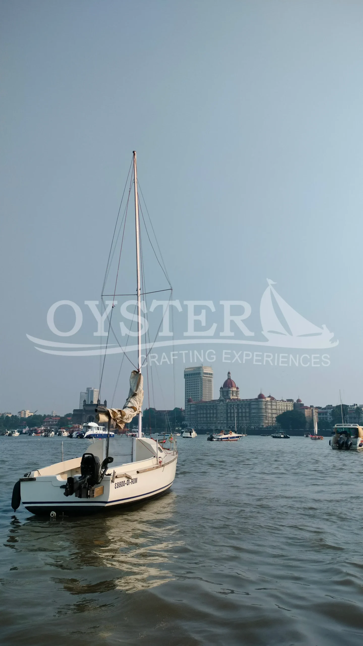 oyster sailing J21 sail boat (5)