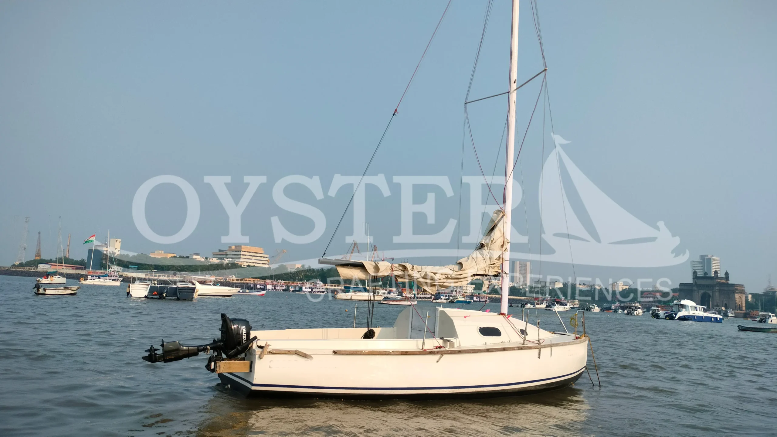 oyster sailing J21 sail boat (6)