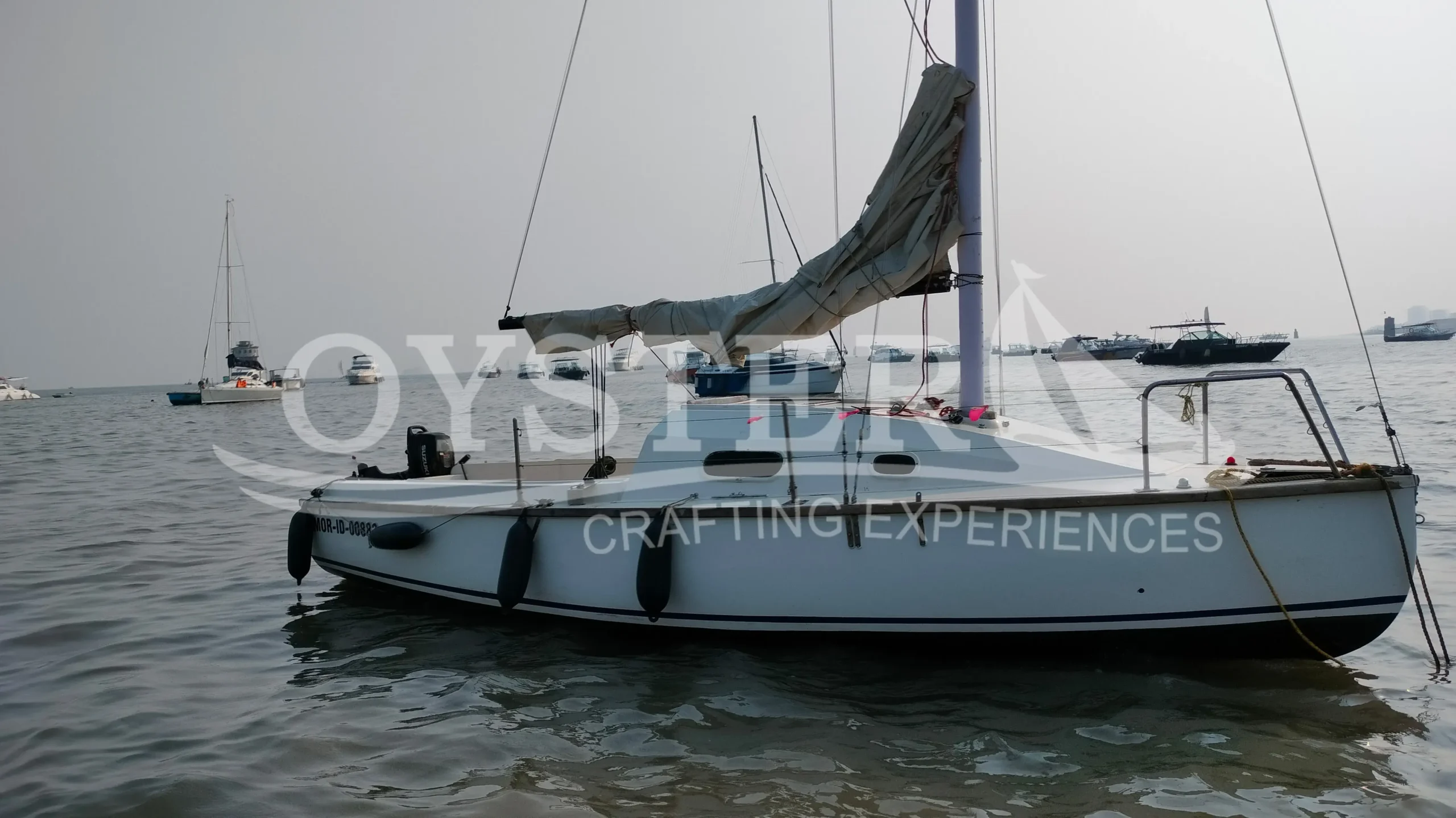 oyster sailing J21 sail boat (7)